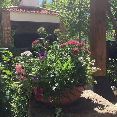 ホテルCasas Rurales La Huerta Salobre  エクステリア 写真