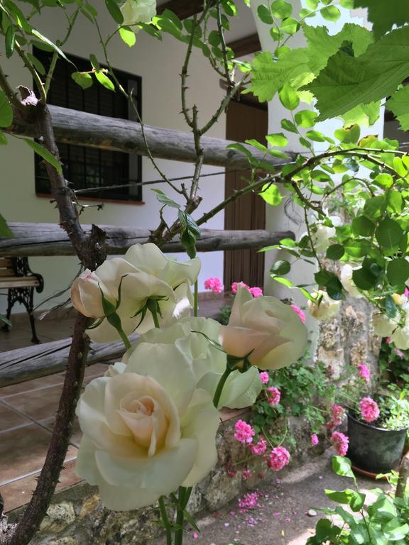 ホテルCasas Rurales La Huerta Salobre  エクステリア 写真